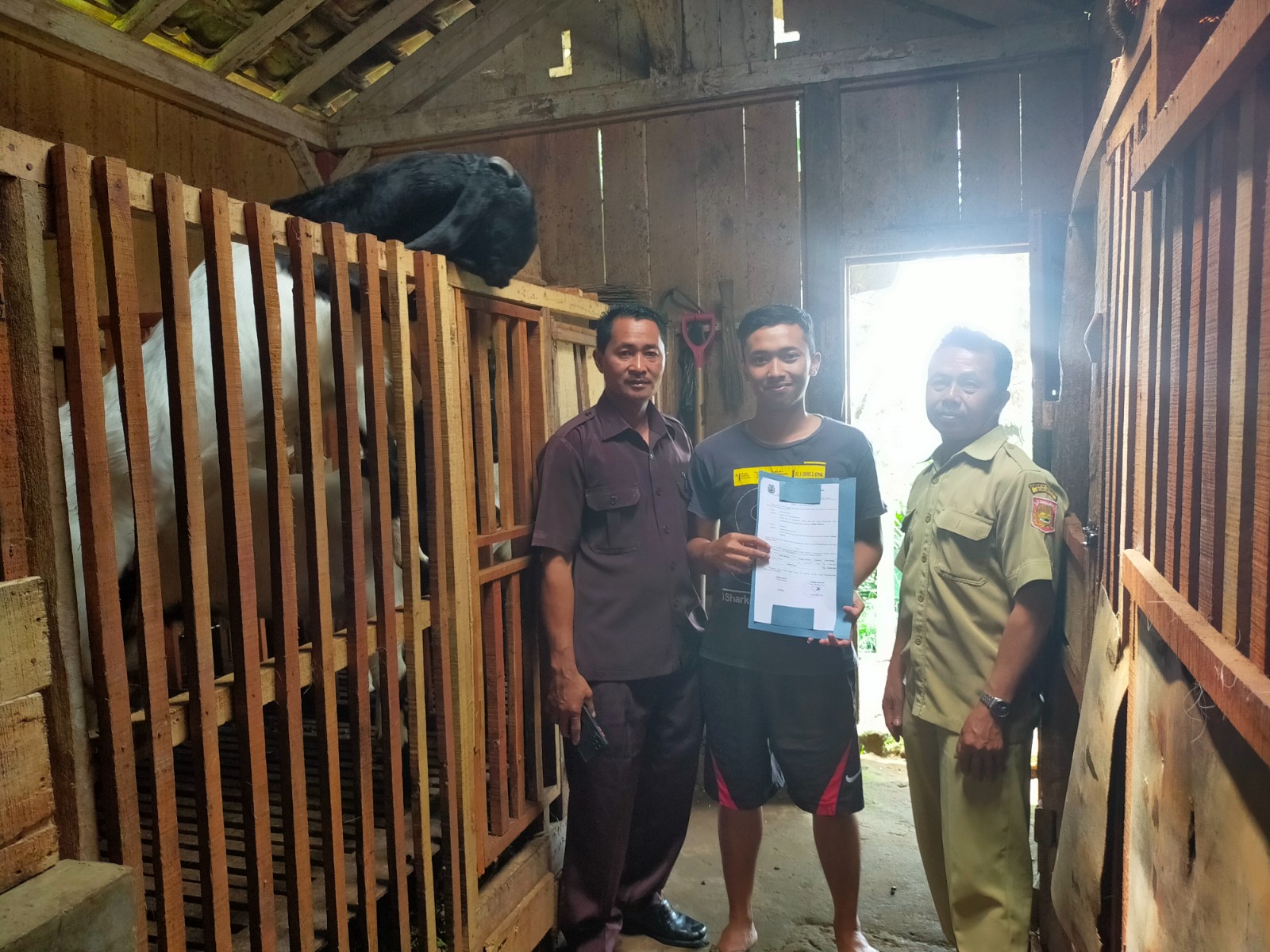 Pemberian Pakan