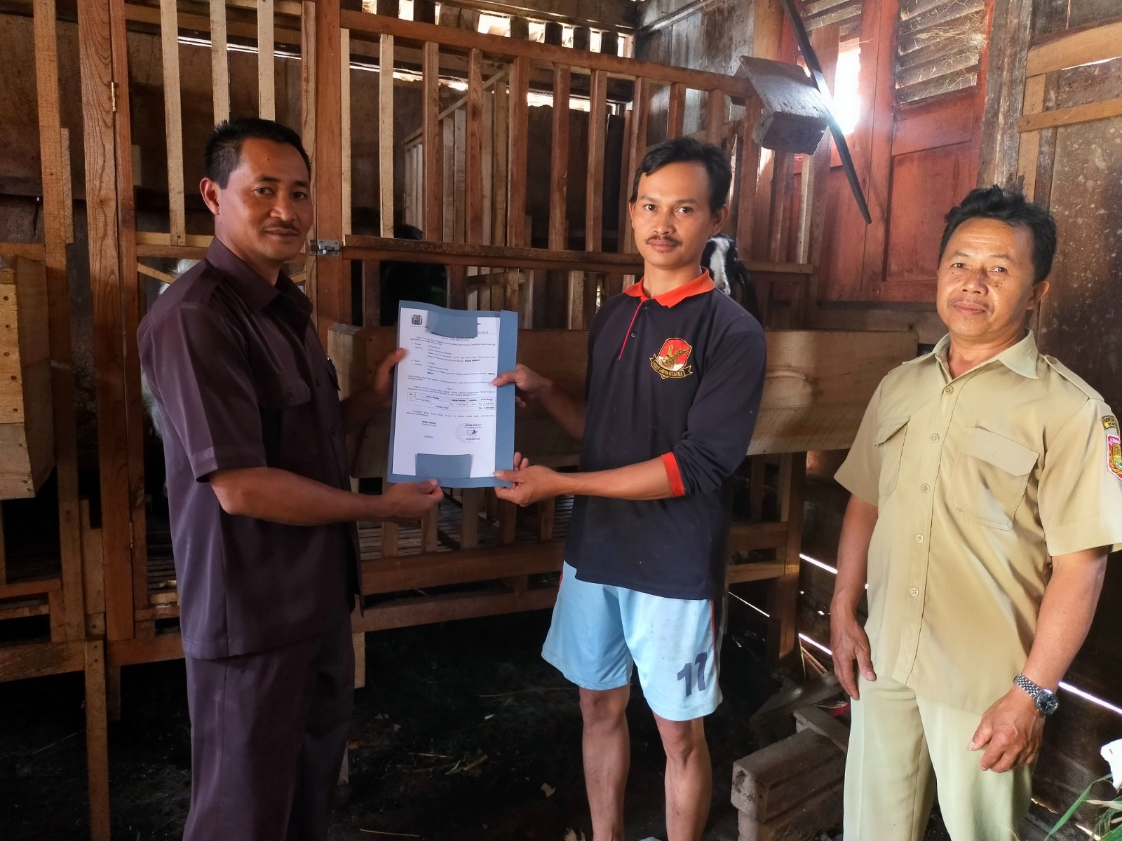Kambing Muda